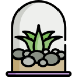 terrarium
